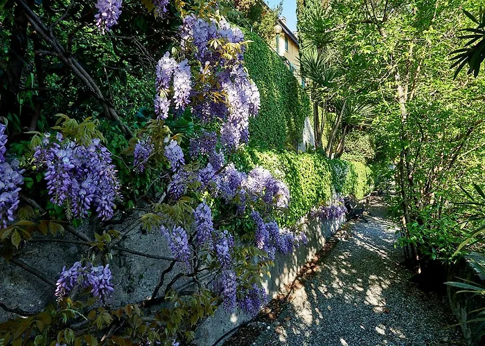 Apartament Casa Garden